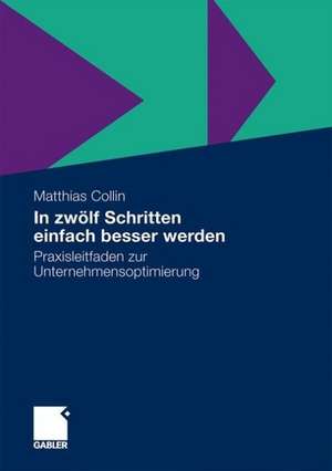 In zwölf Schritten einfach besser werden: Praxisleitfaden zur Unternehmensoptimierung de Matthias Collin