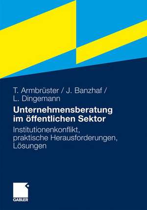 Unternehmensberatung im öffentlichen Sektor: Institutionenkonflikt, praktische Herausforderungen, Lösungen de Thomas Armbrüster