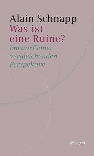 Was ist eine Ruine? de Alain Schnapp