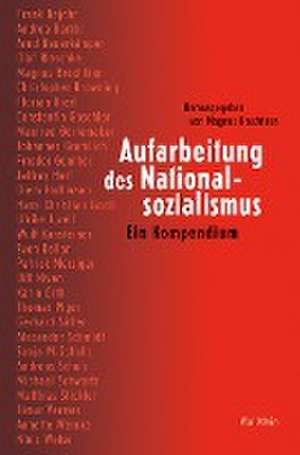 Aufarbeitung des Nationalsozialismus de Magnus Brechtken