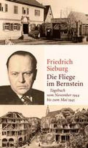 Die Fliege im Bernstein de Friedrich Sieburg