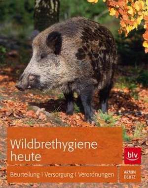 Wildbrethygiene heute de Armin Deutz