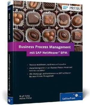 Business Process Management mit SAP NetWeaver BPM de Birgit Heilig