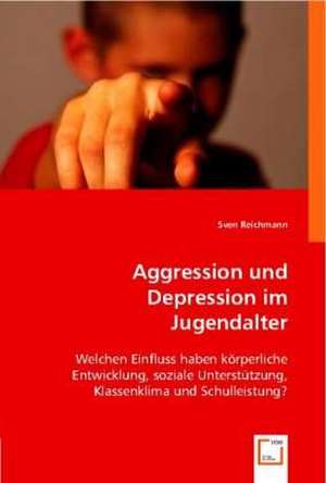 Aggression und Depression im Jugendalter de Sven Reichmann