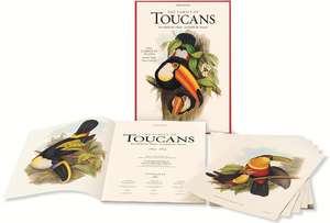 John Gould: Family of Toucans de Jonathan Elphick