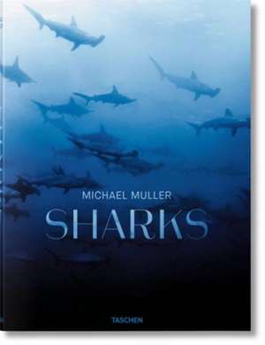 Michael Muller. Sharks de Philippe Cousteau