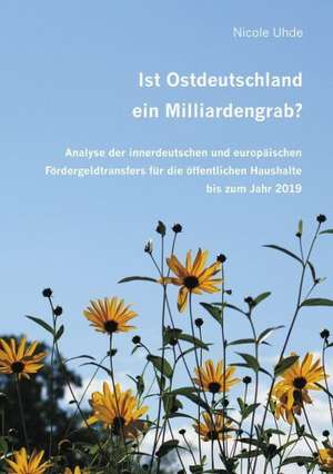 Ist Ostdeutschland Ein Milliardengrab?: Spiegelbild Und Antagonist Seiner Zeit de Nicole Uhde