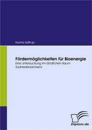 Furderm Glichkeiten Fur Bioenergie: Vertikale Versus Horizontale Integration de Numa Sattrup