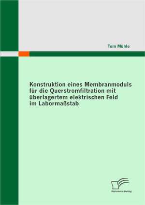 Konstruktion Eines Membranmoduls Fur Die Querstromfiltration Mit Berlagertem Elektrischen Feld Im Laborma Stab: Eine Synoptische Gegen Berstellung Im Kontext Niederschwelliger Eltern- Und Familienbildung de Tom Mühle