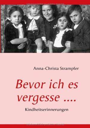 Bevor ich es vergesse .... de Anna-Christa Strampfer