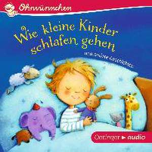 Wie kleine Kinder schlafen gehen und andere Geschichten (CD) de Anne-Kristin ZurBrügge