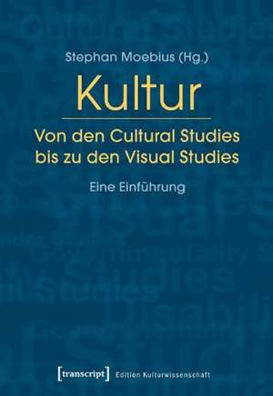 Kultur. Von den Cultural Studies bis zu den Visual Studies de Stephan Moebius