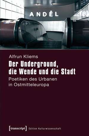 Der Underground, die Wende und die Stadt de Alfrun Kliems