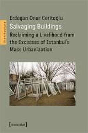 Salvaging Buildings de Erdogan Onur Ceritoglu