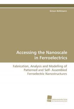 Accessing the Nanoscale in Ferroelectrics de Simon Bühlmann