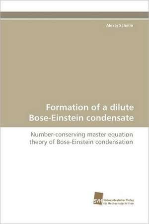 Formation of a dilute Bose-Einstein condensate de Alexej Schelle