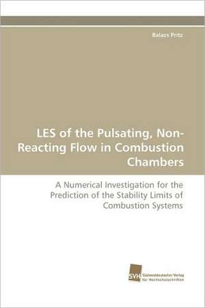 Les of the Pulsating, Non-Reacting Flow in Combustion Chambers: An Integrative Approach de Balazs Pritz