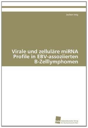 Virale Und Zellulare Mirna Profile in Ebv-Assoziierten B-Zelllymphomen: Wenn Patienten Sich Krank Machen de Jochen Imig