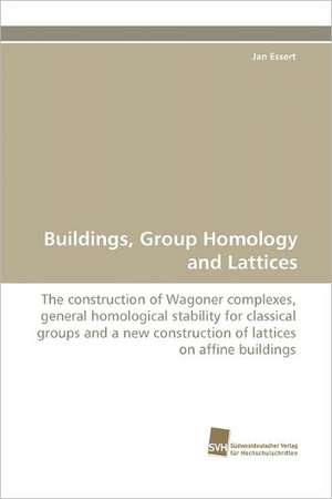 Buildings, Group Homology and Lattices de Jan Essert