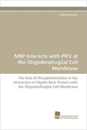 MBP Interacts with Pip2 at the Oligodendroglial Cell Membrane: From Bulk to Heterostructures de Schanila Nawaz