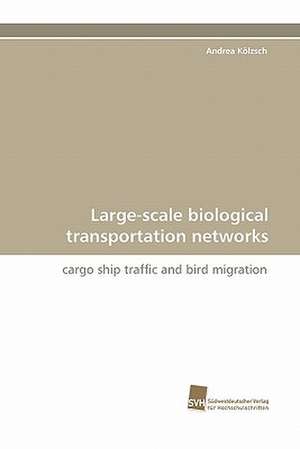 Large-Scale Biological Transportation Networks: Quinone Oxidoreductase de Andrea Kölzsch