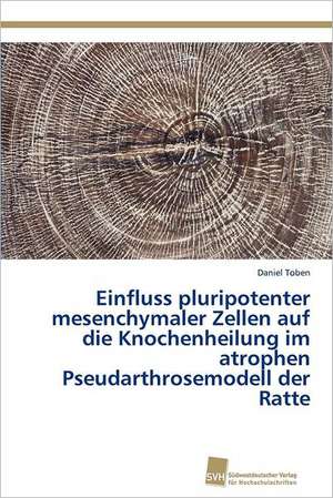 Einfluss Pluripotenter Mesenchymaler Zellen Auf Die Knochenheilung Im Atrophen Pseudarthrosemodell Der Ratte: An Alternative Succession Route for Family Firms de Daniel Toben