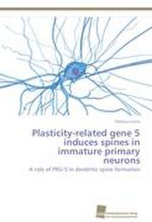 Plasticity-related gene 5 induces spines in immature primary neurons de Pierluca Coiro