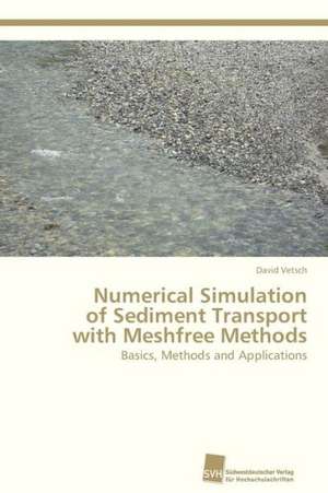 Numerical Simulation of Sediment Transport with Meshfree Methods de David Vetsch