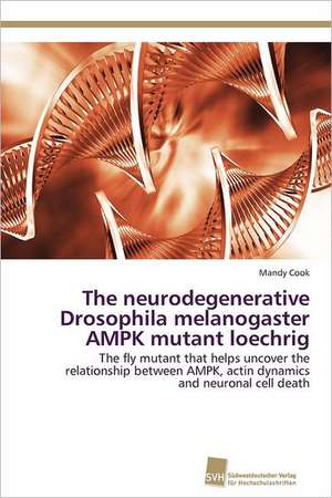 The Neurodegenerative Drosophila Melanogaster Ampk Mutant Loechrig: Measurement and Source Allocation de Mandy Cook