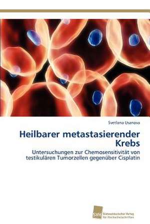 Heilbarer Metastasierender Krebs: Measurement and Source Allocation de Svetlana Usanova