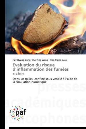 Evaluation du risque d¿inflammation des fumées riches de Huy Quang Dong