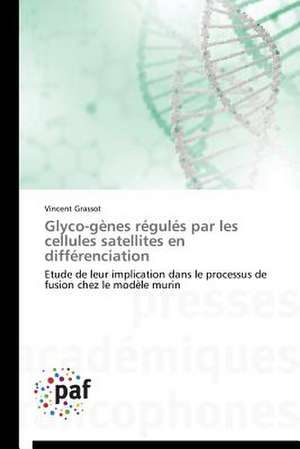 Glyco-gènes régulés par les cellules satellites en différenciation de Vincent Grassot