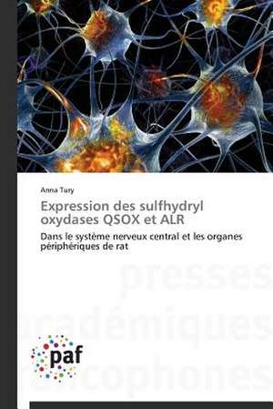 Expression des sulfhydryl oxydases QSOX et ALR de Anna Tury