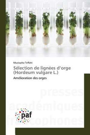 Sélection de lignées d¿orge (Hordeum vulgare L.) de Mustapha Teffahi