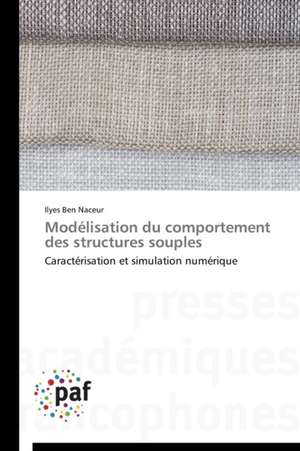 Modélisation du comportement des structures souples de Ilyes Ben Naceur