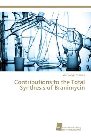 Contributions to the Total Synthesis of Branimycin de Wolfgang Felzmann