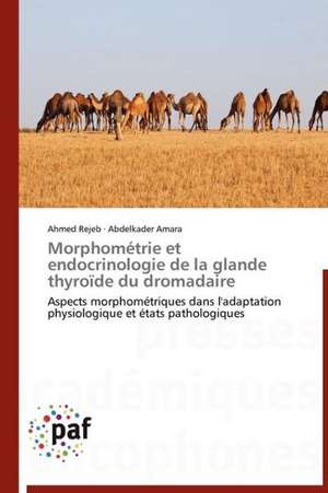 Morphométrie et endocrinologie de la glande thyroïde du dromadaire de Ahmed Rejeb