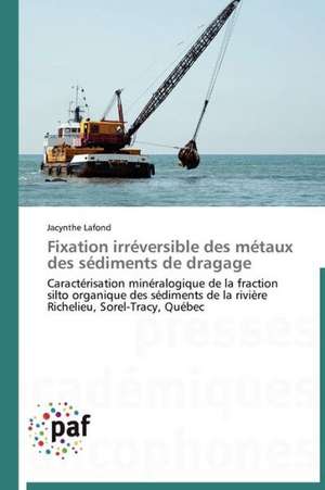 Fixation irréversible des métaux des sédiments de dragage de Jacynthe Lafond