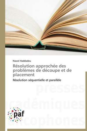 Résolution approchée des problèmes de découpe et de placement de Nawel Haddadou