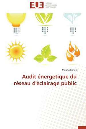 Audit Energetique Du Reseau D'Eclairage Public