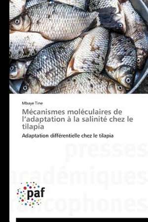 Mécanismes moléculaires de l¿adaptation à la salinité chez le tilapia de Mbaye Tine