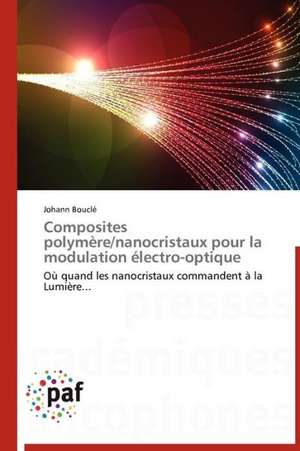 Composites polymère/nanocristaux pour la modulation électro-optique de Johann Bouclé