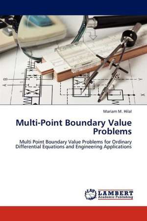 Multi-Point Boundary Value Problems de M. Hilal Mariam