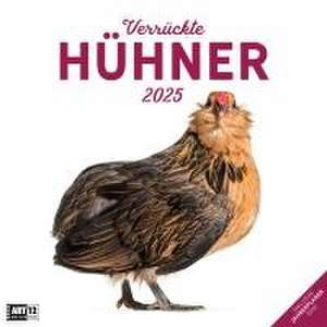 Ackermann Kunstverlag: Verrückte Hühner Kalender 2025 - 30x3