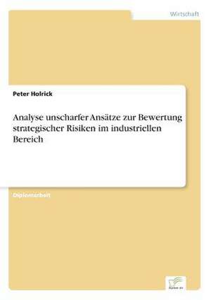 Analyse unscharfer Ansätze zur Bewertung strategischer Risiken im industriellen Bereich de Peter Holrick