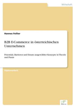 B2B E-Commerce in österreichischen Unternehmen de Hannes Fellier