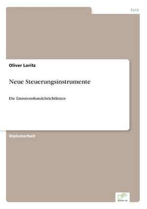 Neue Steuerungsinstrumente de Oliver Loritz