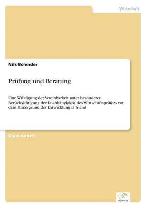 Prüfung und Beratung de Nils Bolender