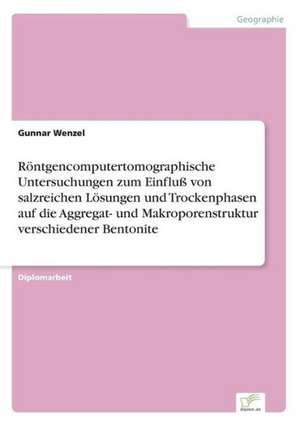 Röntgencomputertomographische Untersuchungen zum Einfluß von salzreichen Lösungen und Trockenphasen auf die Aggregat- und Makroporenstruktur verschiedener Bentonite de Gunnar Wenzel