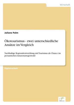 Okotourismus - Zwei Unterschiedliche Ansatze Im Vergleich: Goodwill and Other Intangible Assets de Juliane Palm